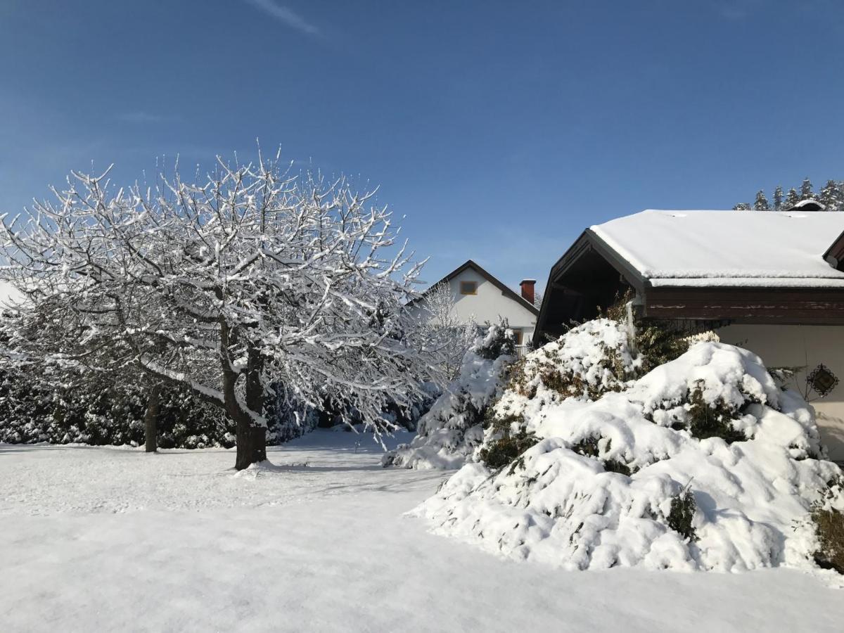V Gemuetliches Gartenhaus Sankt Michael ob Bleiburg Exterior foto