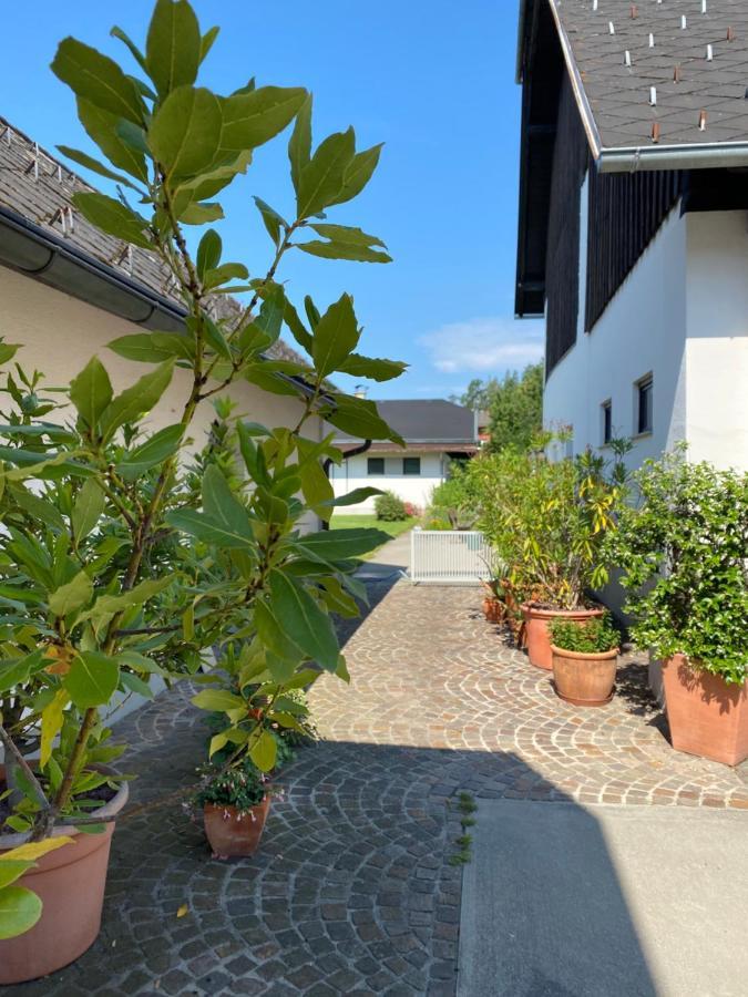 V Gemuetliches Gartenhaus Vila Sankt Michael ob Bleiburg Exterior foto